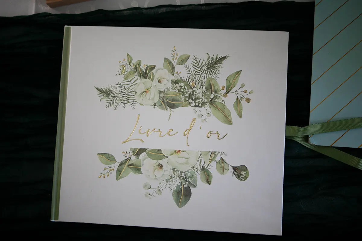 Vidéaste mariage Île-de-France - vin d'honneur